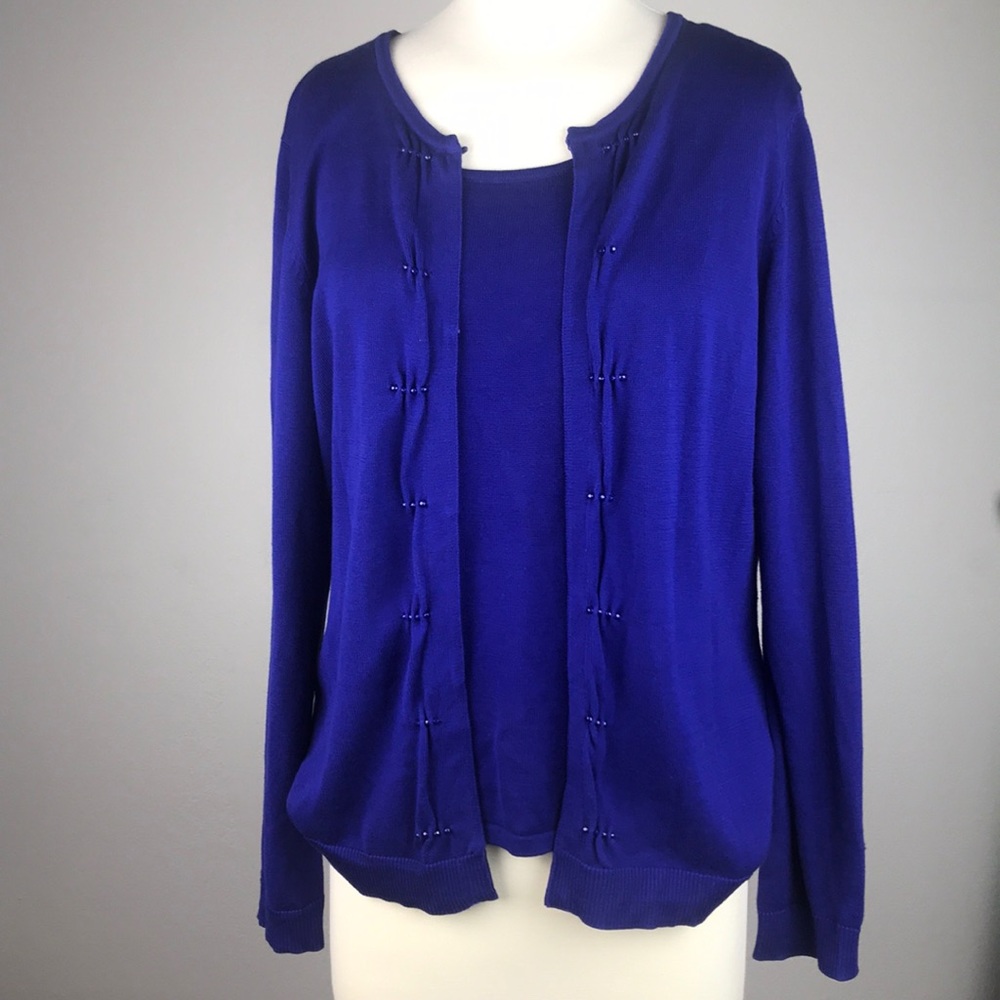 ⭐️Coldwater Creek beaded sweater set